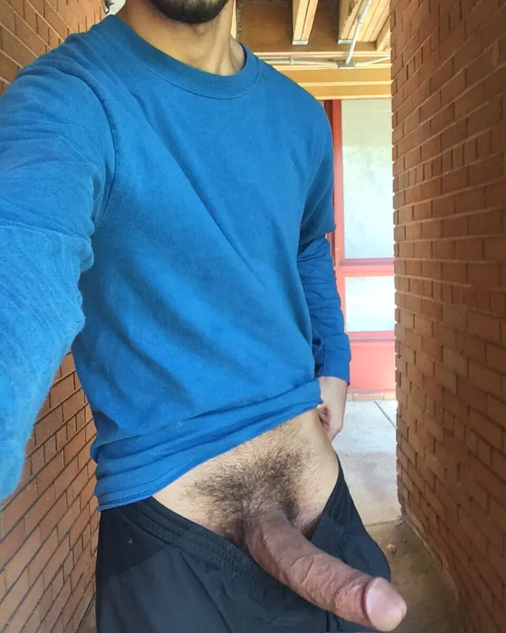 Homme en t-shirt bleu, tirant sa chemise pour exposer son pubis poilu, debout près d'un mur de briques.